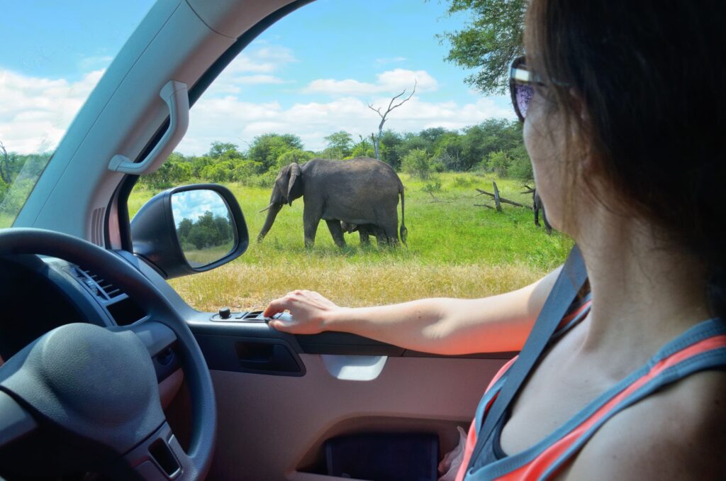 enjoy on a journey to murchison falls